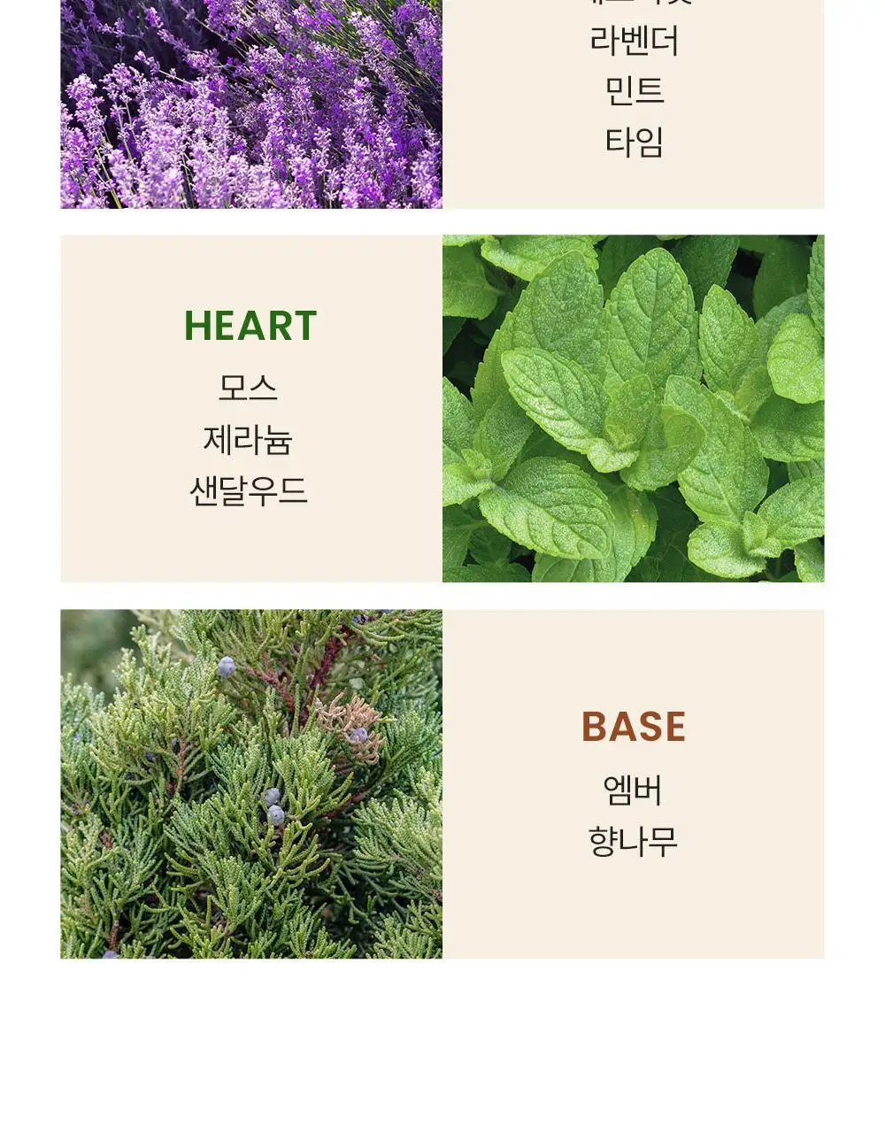 [NEW] 버버리 포맨 EDT 50ml 상세페이지 5